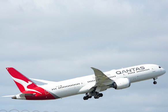 Passengers on a Qantas flight were delayed due to bed bugs.