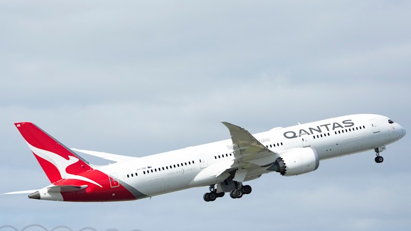 Qantas removed seat covers before Perth to Rome bed bug flight
