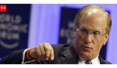 BlackRock CEO Larry Fink warns Americans of recession; if there is a moratorium on data centres, as their construction heats up upcoming 'mid-term elections'