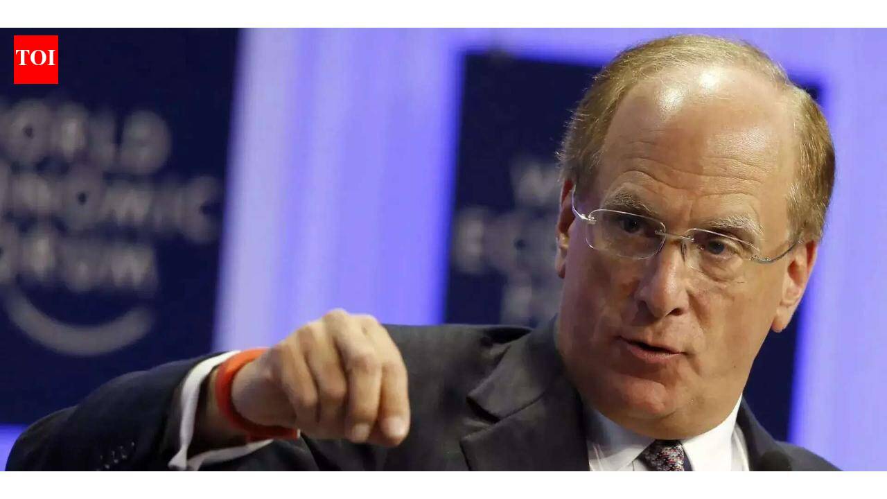 BlackRock CEO Larry Fink warns Americans of recession; if there is a moratorium on data centres, as their construction heats up upcoming 'mid-term elections'