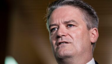 Copying One Nation and other populations will leave Australians poorer, Mathias Cormann warns