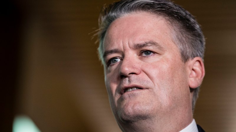 Copying One Nation and other populations will leave Australians poorer, Mathias Cormann warns