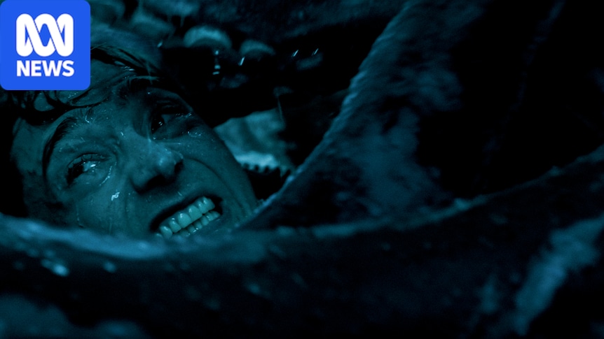 The Interview: Could a whale really swallow a human?