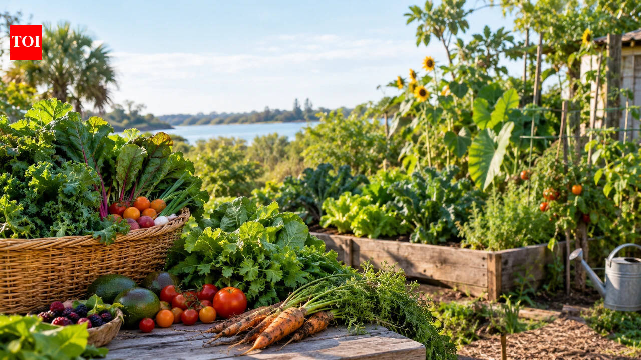 More food, fewer nutrients? Fruits, vegetables and cereals may have lost up to 50% of key nutrients since the 1960s as decades of yield-focused farming raise concerns about hidden hunger |
