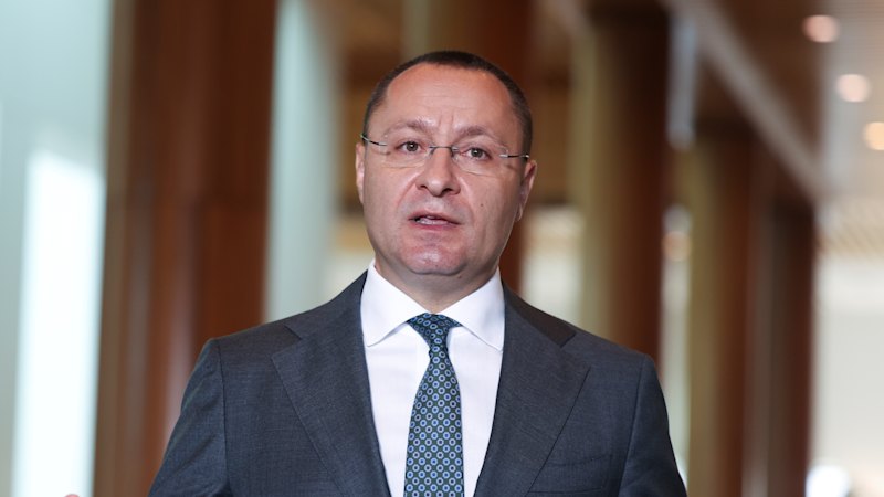 David Shoebridge Ukraine policy: Ukrainian Greens attack Australian Greens leader over military aid stance