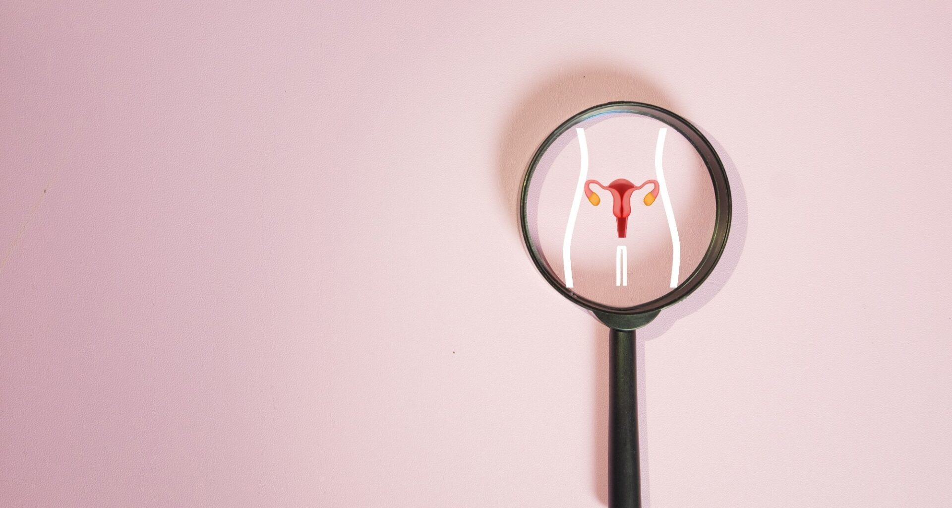 Magnifying glass focusing on uterus and ovaries icon