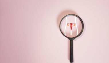Magnifying glass focusing on uterus and ovaries icon
