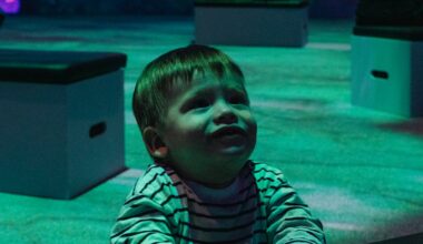 David Hockney: Bigger & Closer (not smaller & further away) at Carriageworks: Everything you need to know about the immersive exhibition