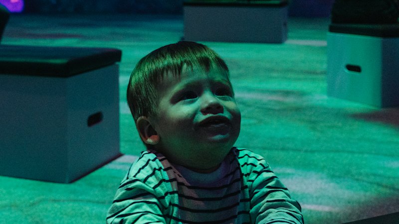 David Hockney: Bigger & Closer (not smaller & further away) at Carriageworks: Everything you need to know about the immersive exhibition