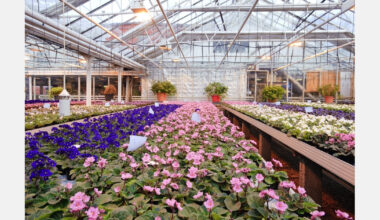 Greenhouse warmth triggered the two major floristic turnover events of the past 120 million years