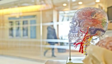 Supplement May Ease Brain Fog After Breast Cancer Treatment