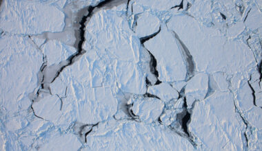 A Suitcase From The Edge Of The North Pole’s Ice Unexpectedly Turned Up In Iceland