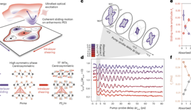 Coherent phonon control beyond amplitude saturation in a sliding ferroelectric