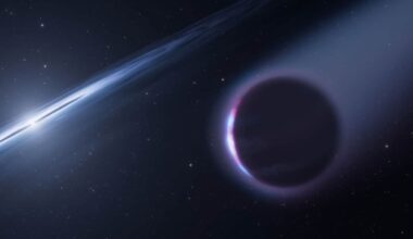 Dead Star Devours a Newborn Planet That Formed From Its Own Remains