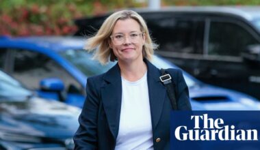 ‘Nunchucks’ wielded by agitated man in Hannah Beazley’s office may have been drumsticks, court told | Australian politics