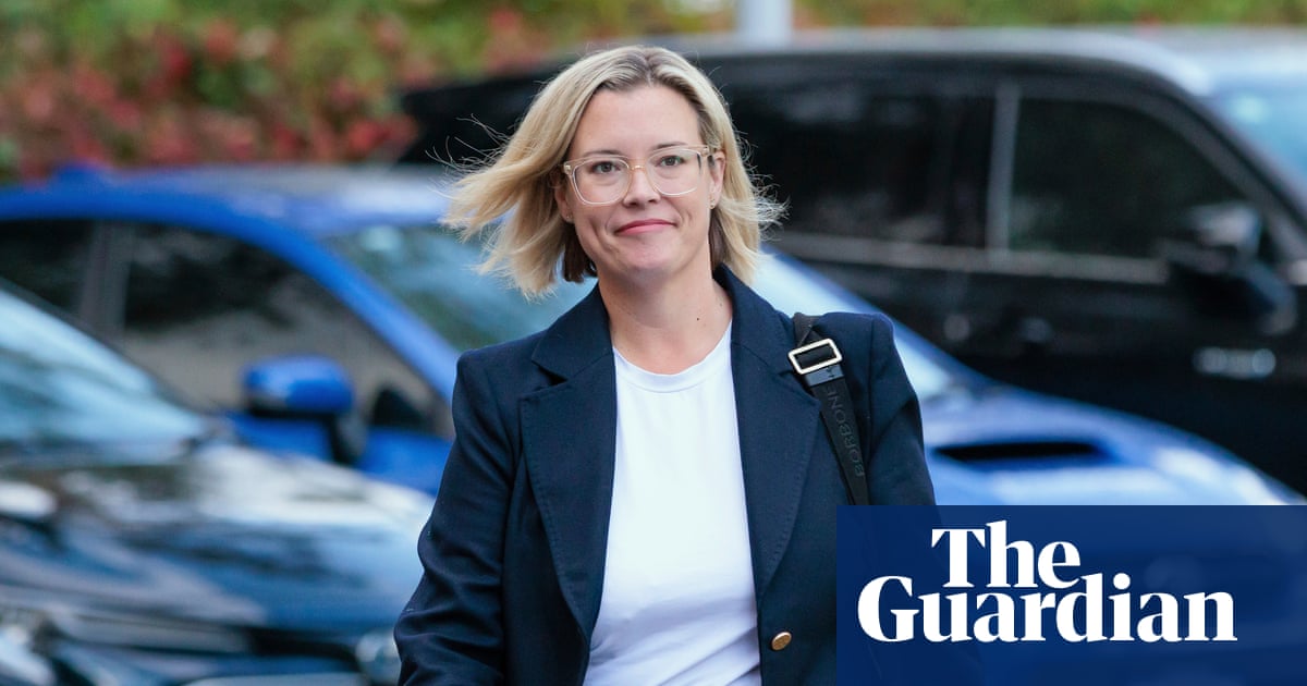 ‘Nunchucks’ wielded by agitated man in Hannah Beazley’s office may have been drumsticks, court told | Australian politics