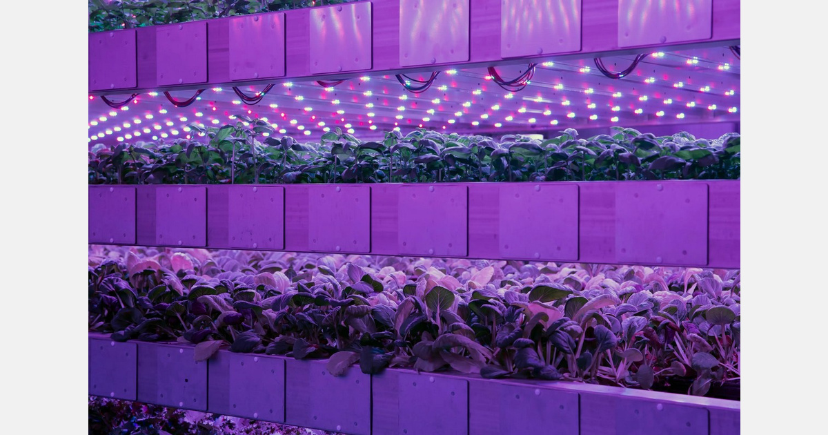 IGS to hold free webinar on taking vertical farming projects to commercial scale