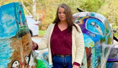 Niagara artist paints 'love letter to Canada' on retired classic airplane in her Wainfleet, Ont., yard
