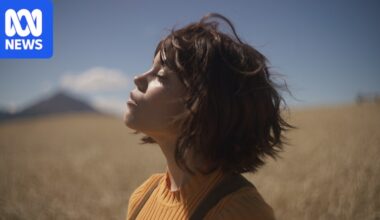 From anticipated adaptations to a quirky doc, here's what's in cinemas this month