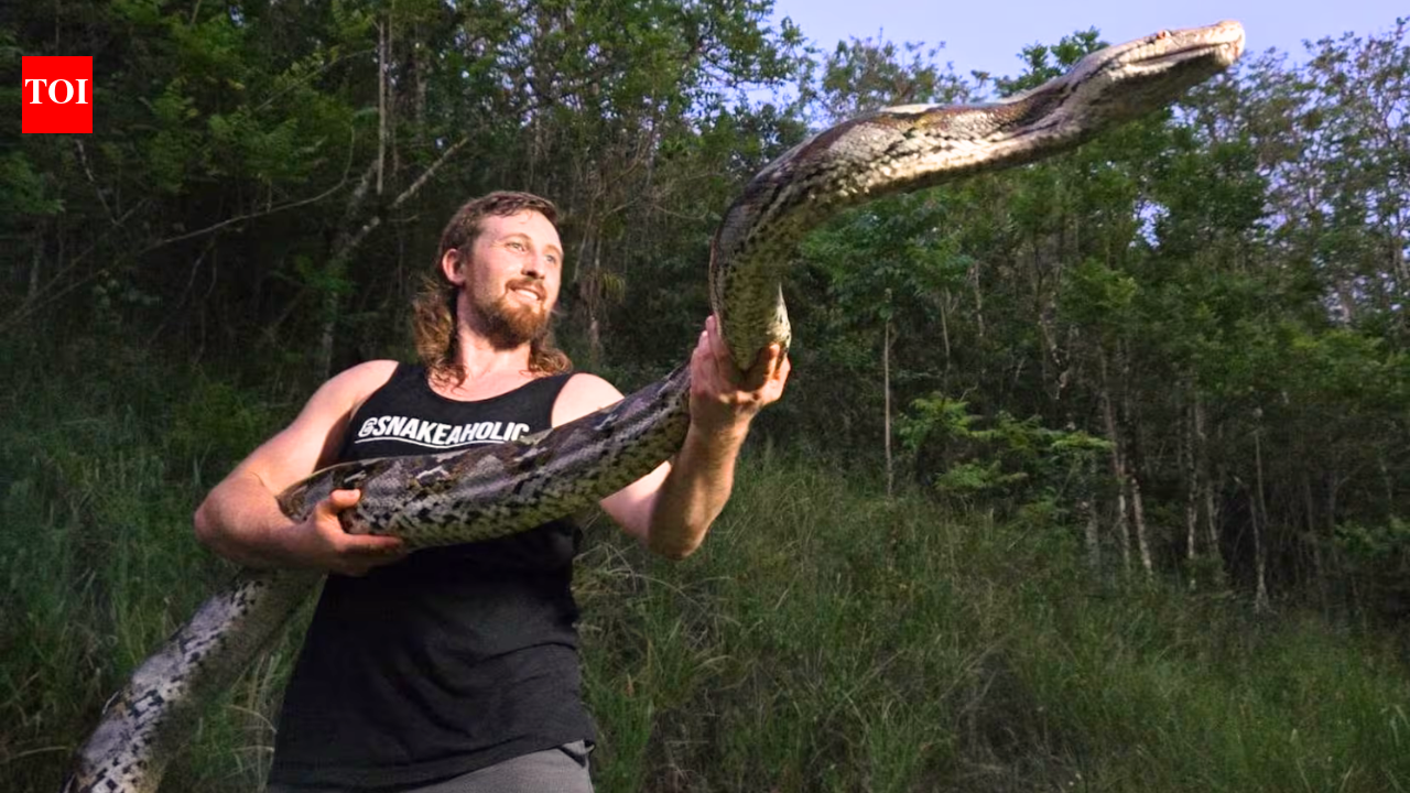 Florida python hunter captures 18-foot invasive python in Puerto Rico after it strangled a pet cat, setting a local live-capture record | World News