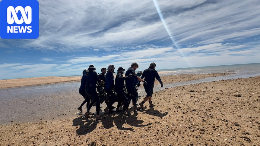 Rescuers hoist entangled dugong to safety off Exmouth in WA