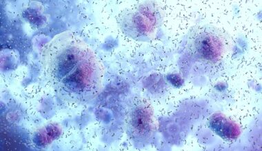 Study: Integrated microbiome and metabolomic analysis reveals associations between vaginal microbiota composition and psychological profiles. Image Credit: Corona Borealis Studio / Shutterstock