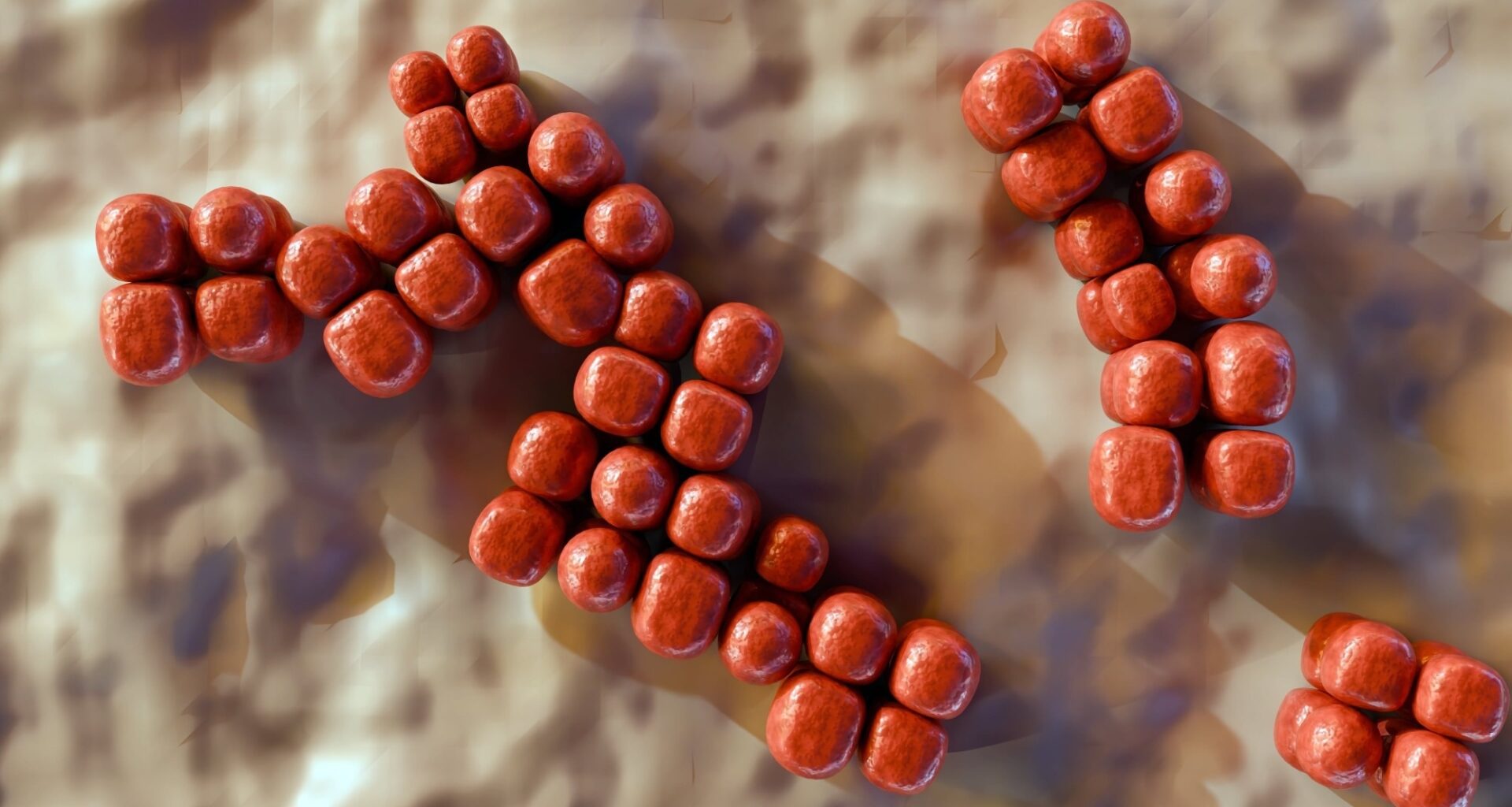 Semaglutide changes gut bacteria in rats beyond what eating less explains