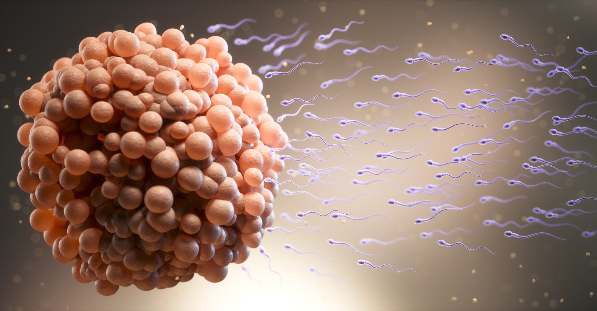 Amyloid fibers help sperm deliver RNA to mouse embryos