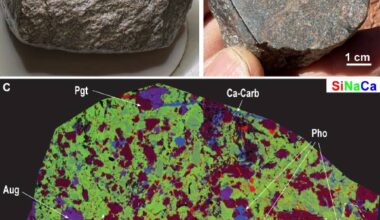 The largest fragment of the Martian meteorite Teghaza 001. Image credit: Liu et al., doi: 10.1126/science.adz5646.