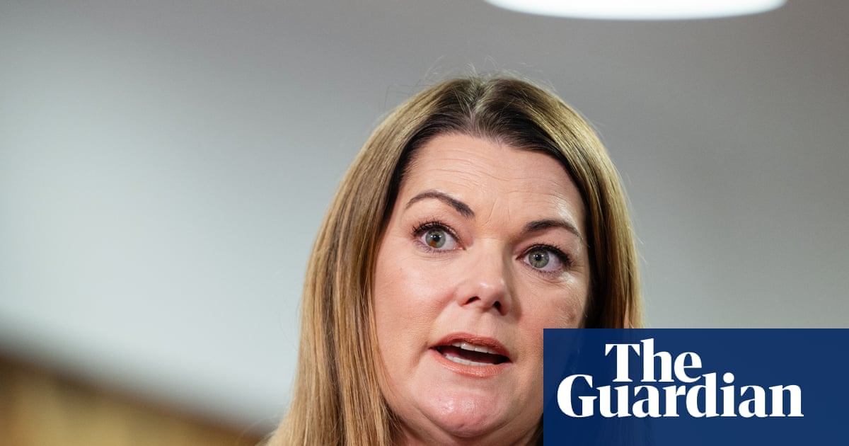‘Politics can be brutal’: Sarah Hanson-Young speaks out about divisions within Greens | Sarah Hanson-Young