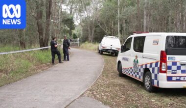 Owner of dogs that left man seriously injured to face harsher penalties under state law