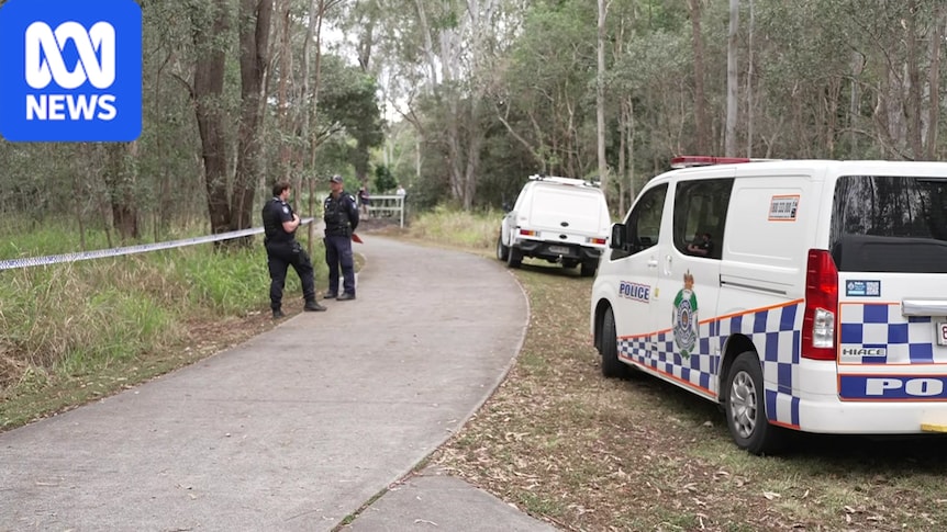 Owner of dogs that left man seriously injured to face harsher penalties under state law