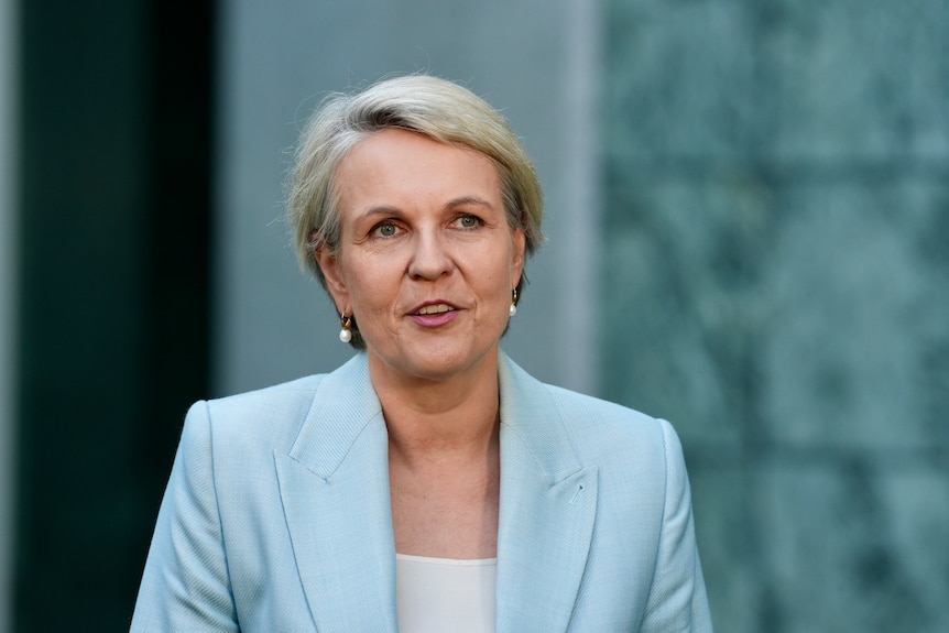 A short-haired woman (Tanya Plibersek) wearing a pale blue suit looks forward and speaks.