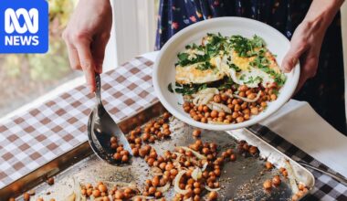 Chickpea prices hit $1,000 per tonne as importers rush to lock in supply