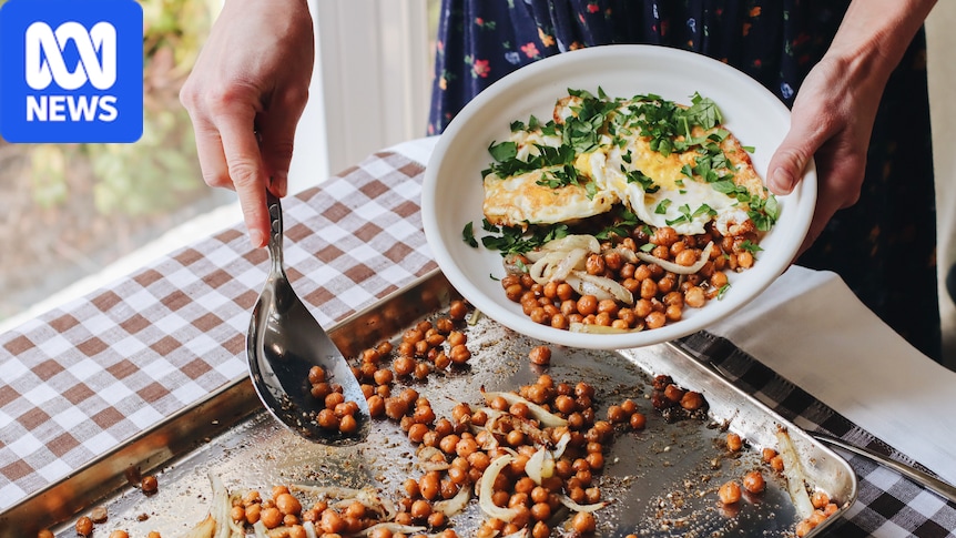 Chickpea prices hit $1,000 per tonne as importers rush to lock in supply