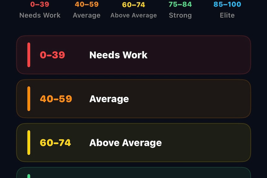 The looksmaxxing ranking system from 0-39, needs work, to 85-100, elite