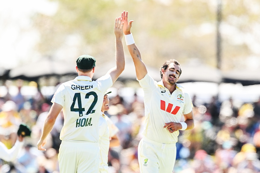Two cricketers smile and high five in celebration of a wicket