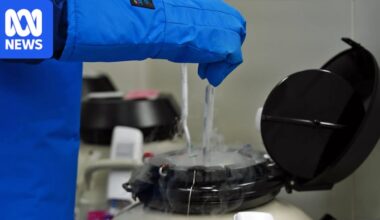 High Court rules in favour of Queensland prisoner who is trying to freeze her eggs