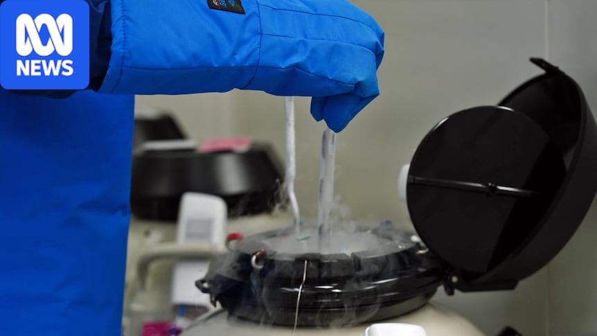 High Court rules in favour of Queensland prisoner who is trying to freeze her eggs