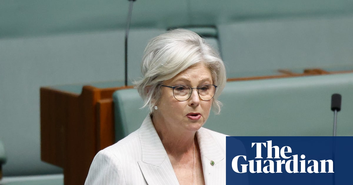 ‘Deeply appalled’: politicians condemn alleged attack after independent MP Helen Haines critically injured | Helen Haines