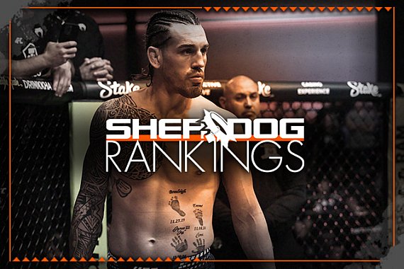Sherdog’s official mixed martial arts rankings: Brendan Allen passes Anthony Hernandez at middleweight