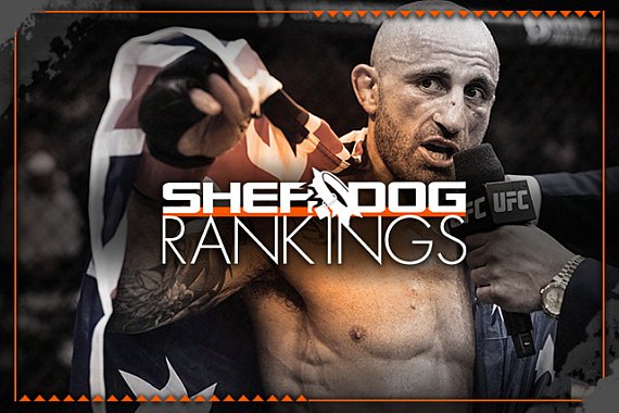 Sherdog’s official mixed martial arts rankings: Reyes rises, Murzakanov exits Top 10 following UFC 333