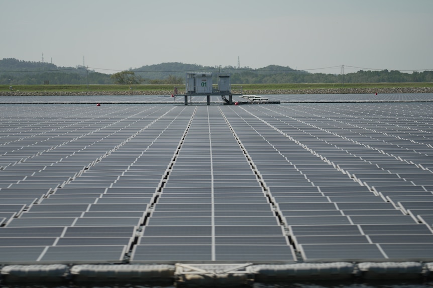 A vast field of solar panels that float on water.
