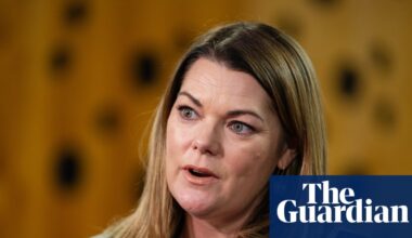 Greens prepare for fight with Labor over social media algorithm reform, with ‘pervert glasses’ in its sights | Australian Greens