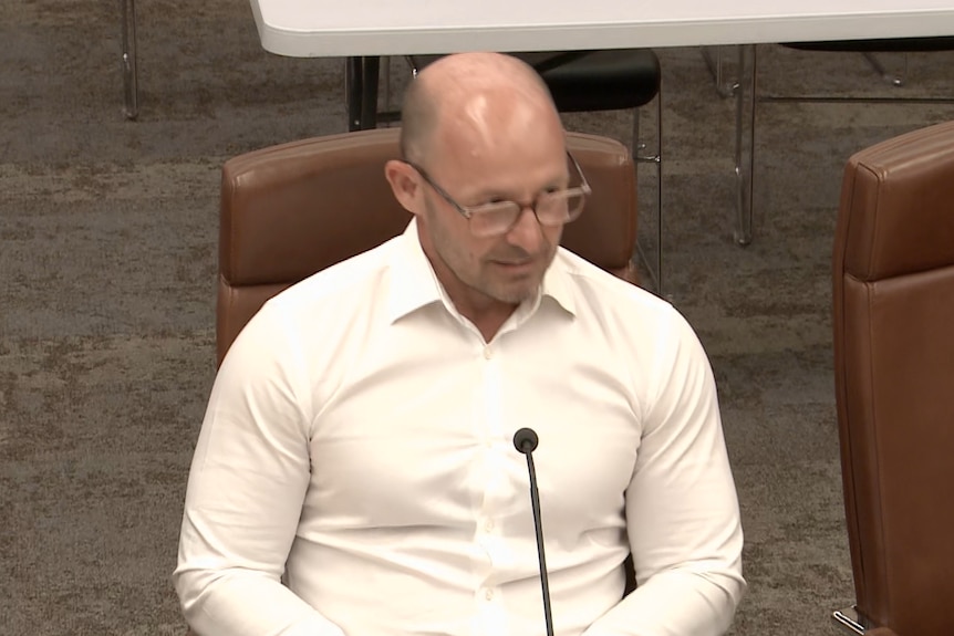 Paul Grzinic speaks to a committee