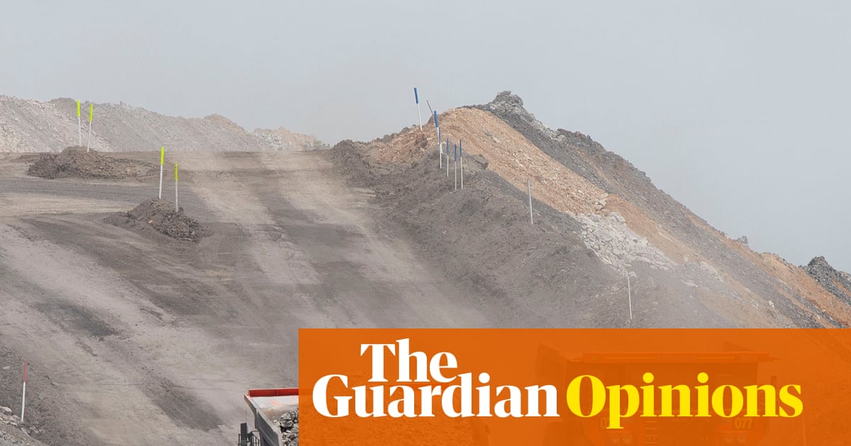 Has the high court set Australia’s fossil fuel producers shaking in their boots? They should be | Jacqueline Peel