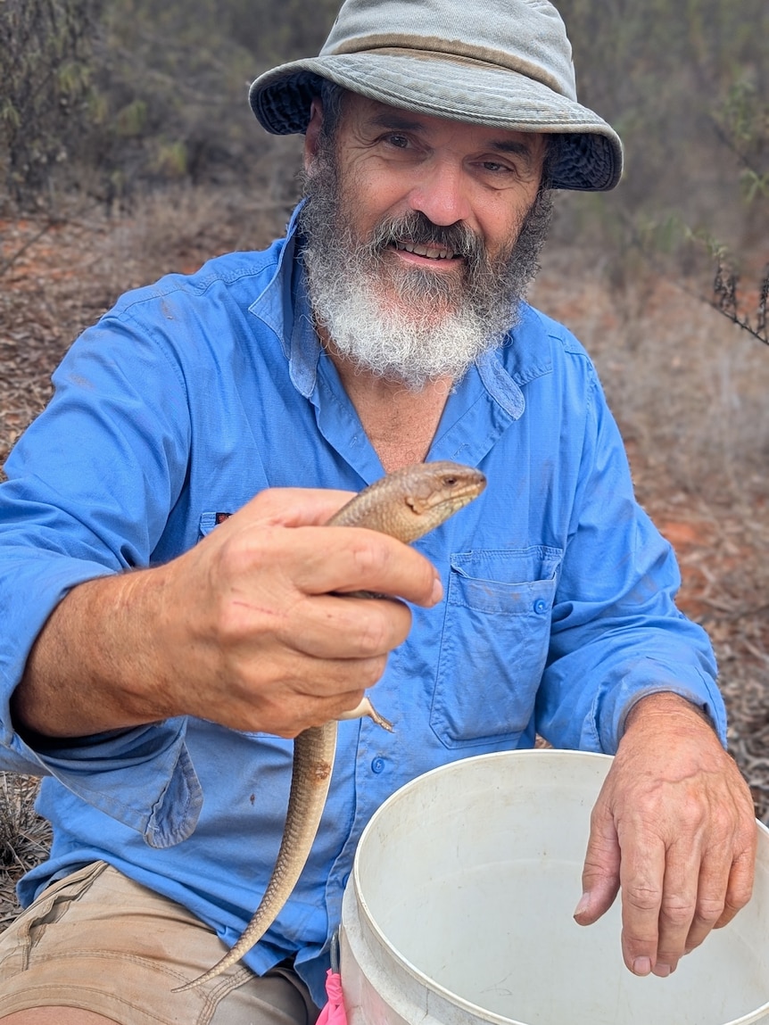 a man in bucket hat and blue shirt holds a skink in front of him