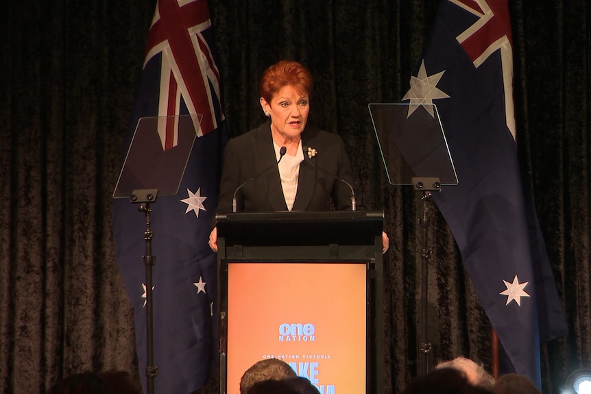 Pauline Hanson stands at a lectern, speaking. Behind her are Australian flags.