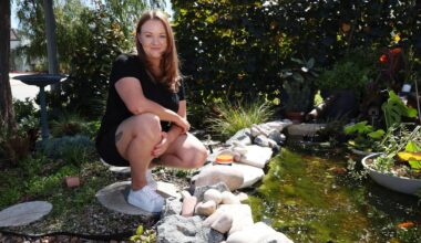 ANDREA WHITELY: A happy accident for frogs