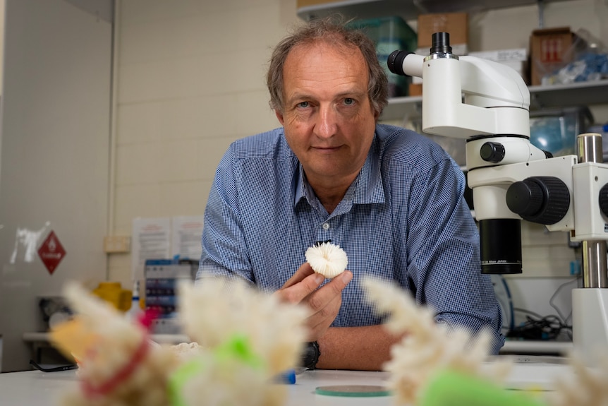 A man in a science lab holding some coral